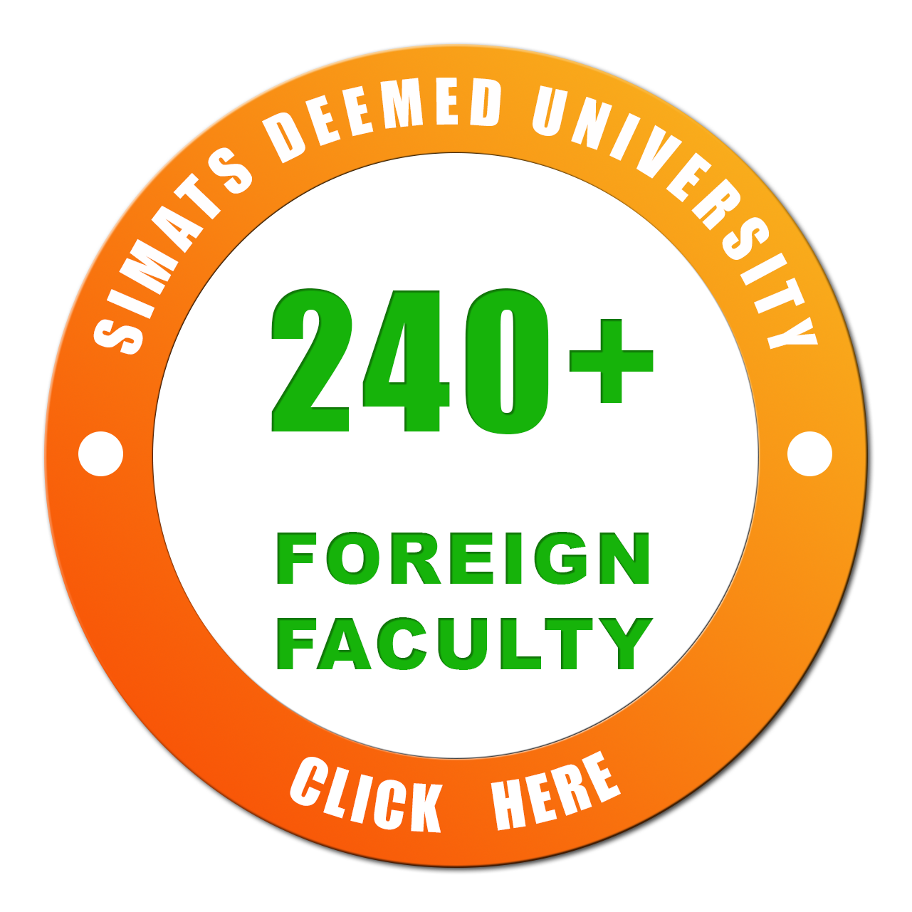 240 + Foreign Faculty